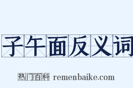 子午面反义词是什么意思的图片
